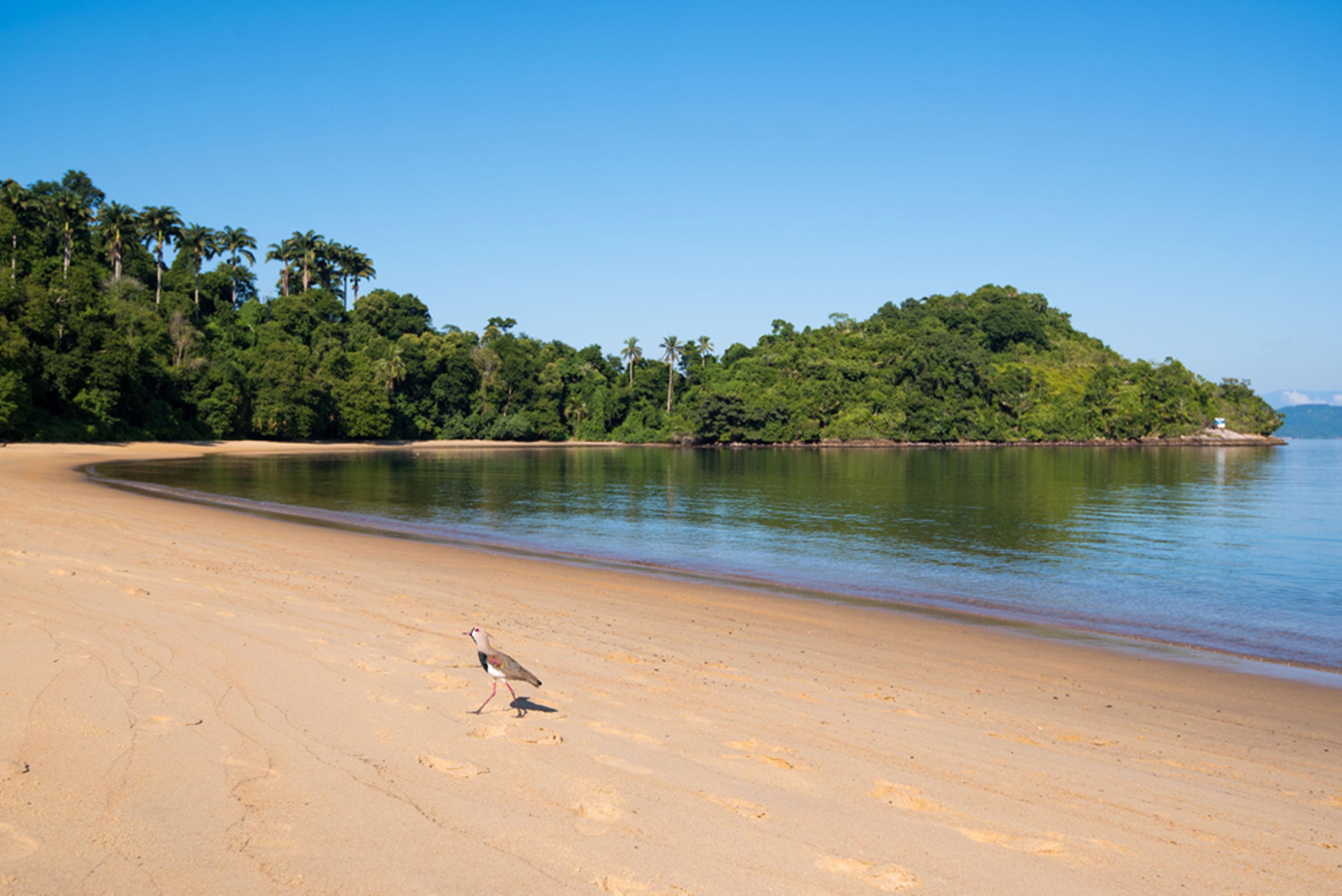 Vila Gale Eco Resort Angra Angra dos Reis Exterior foto Beach at the park